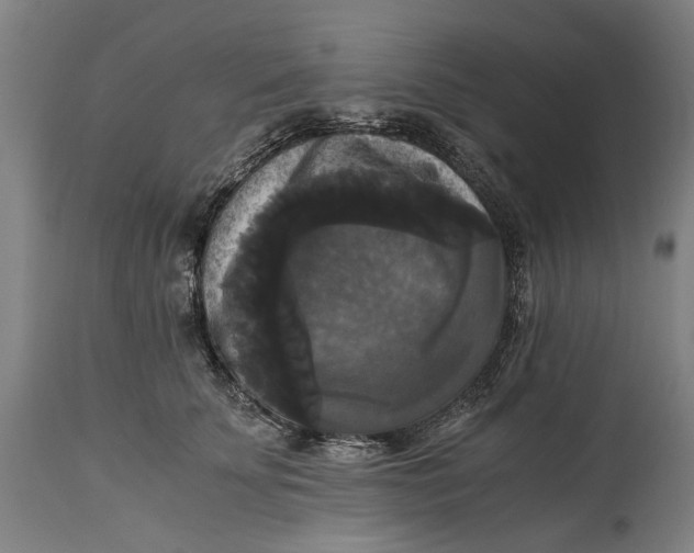 X0000114640707200911101258