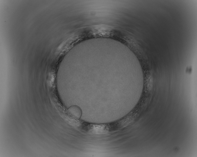 X0000114640709200911101258