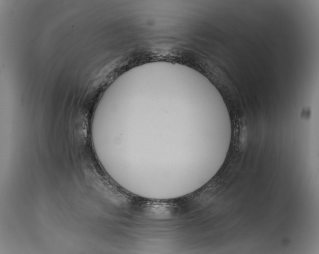 X0000114640710200911101258