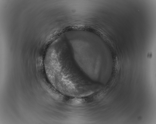 X0000114640711200911101258