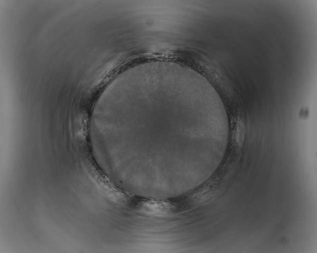 X0000114640712200911101258