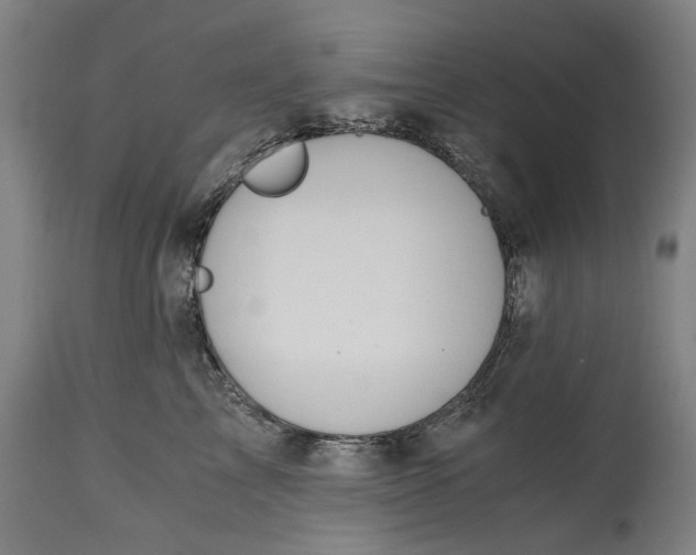 X0000114640713200911101258