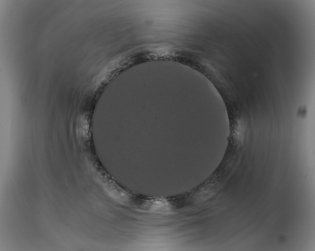 X0000114640715200911101258