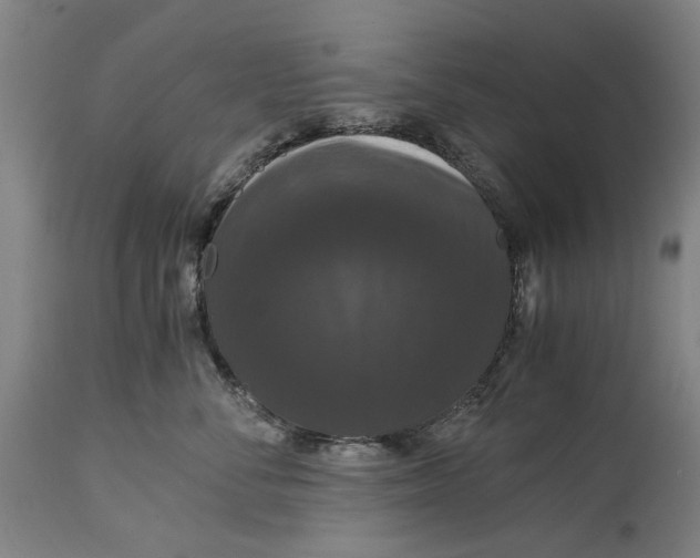 X0000114640716200911101258