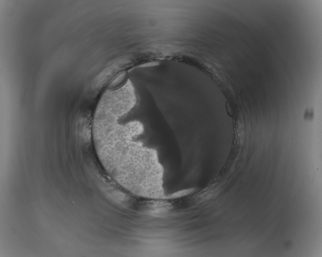X0000114640719200911101258