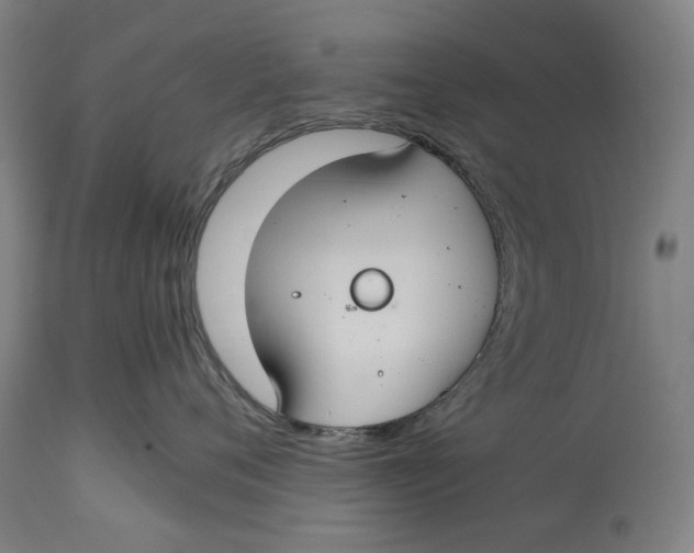 X0000114640720200911101258