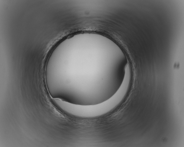 X0000114640721200911101257