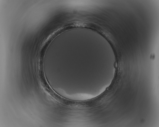 X0000114640722200911101257