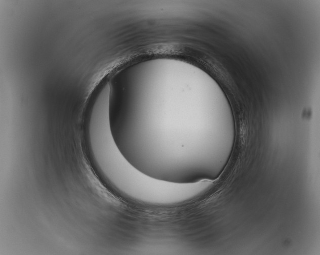 X0000114640725200911101257