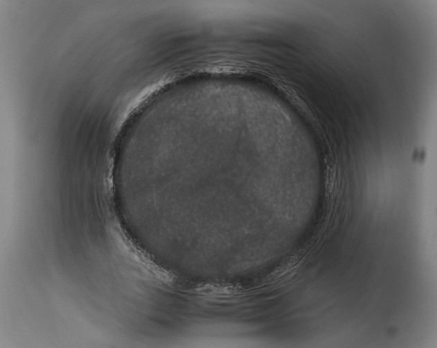 X0000114640727200911101257