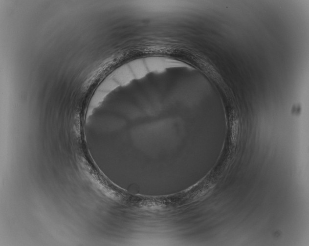 X0000114640729200911101258