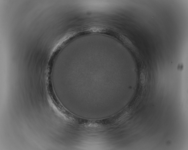 X0000114640730200911101258