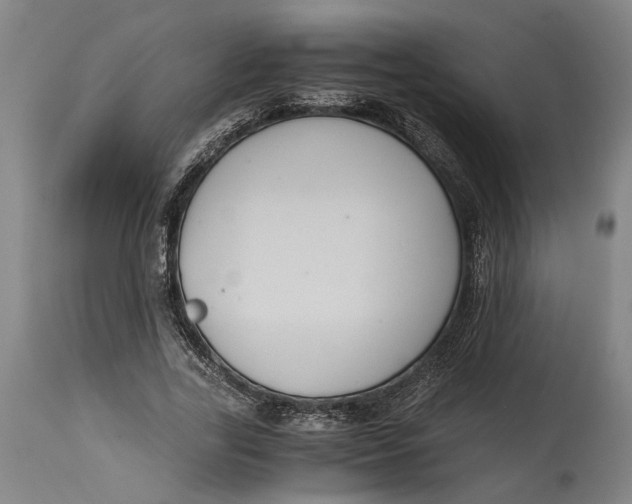 X0000114640731200911101258