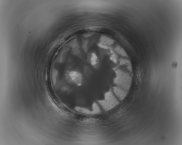 X0000114640734200911101258