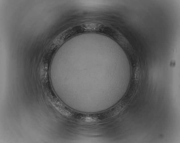 X0000114640737200911101258