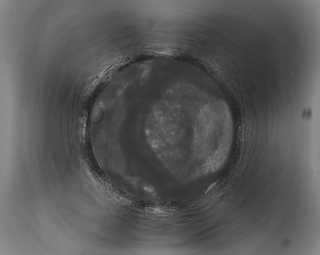 X0000114640739200911101258