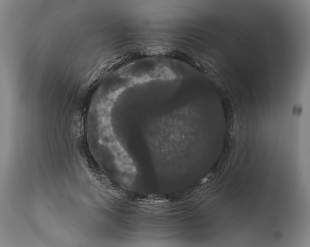 X0000114640743200911101258