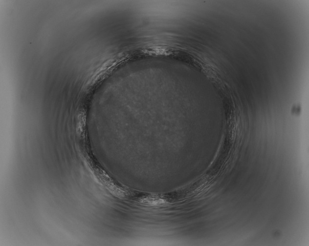 X0000114640747200911101258