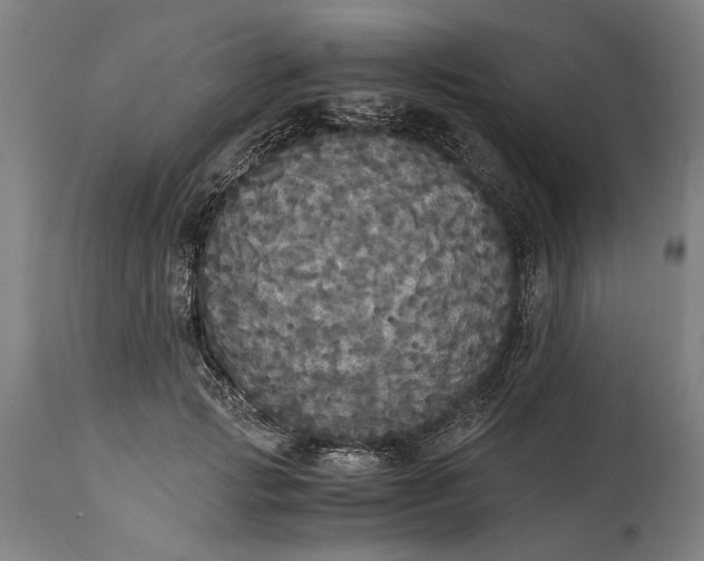 X0000114640749200911101258