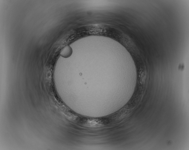 X0000114640753200911101258
