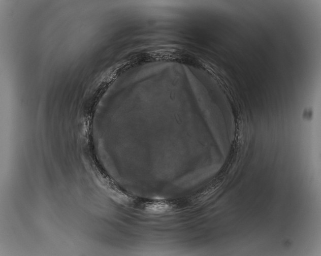 X0000114640759200911101258