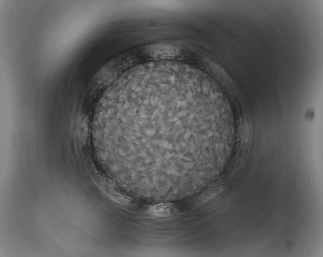 X0000114640761200911101258