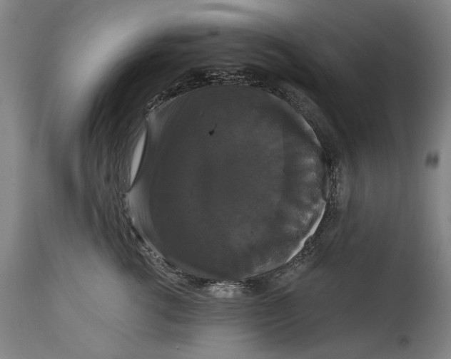 X0000114640762200911101258