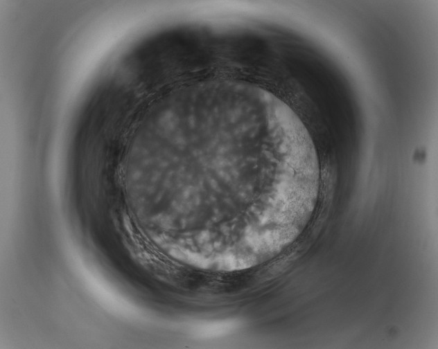 X0000114640765200911101258