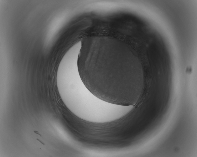 X0000114640766200911101258