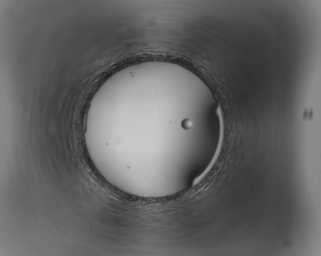 X0000114640769200911101257