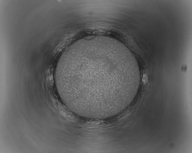 X0000114640771200911101257