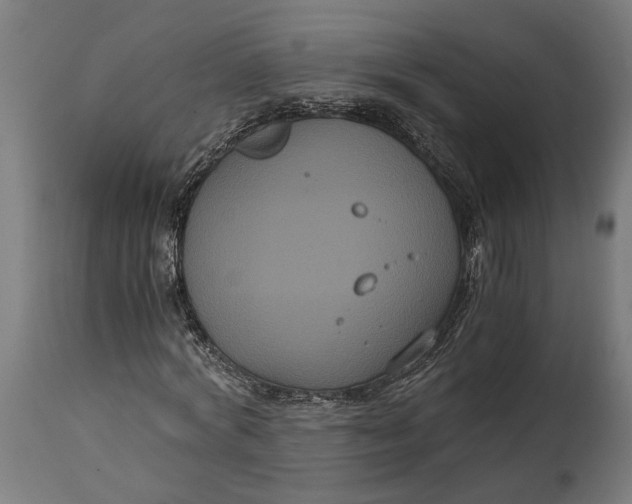 X0000114640772200911101257