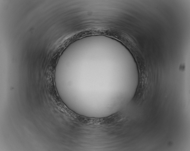 X0000114640773200911101257