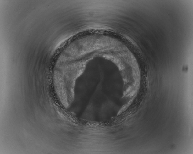 X0000114640775200911101257