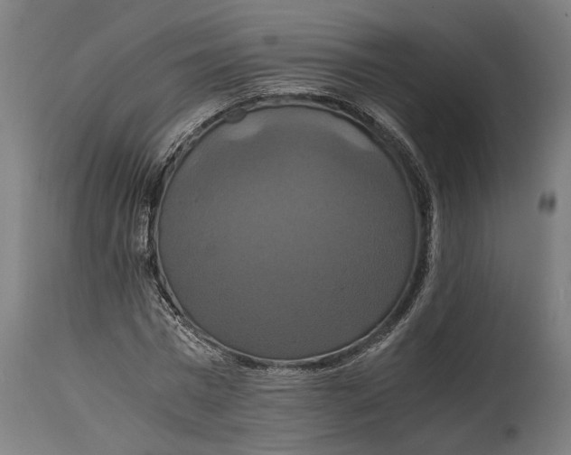 X0000114640777200911101257