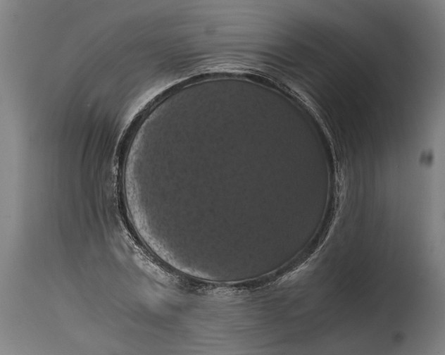 X0000114640779200911101257