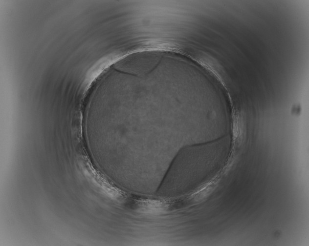 X0000114640781200911101257