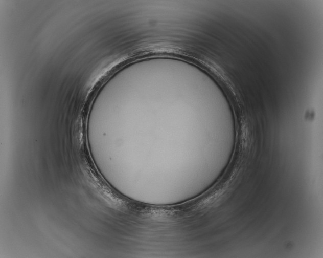 X0000114640782200911101257