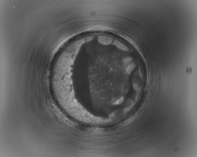 X0000114640783200911101257