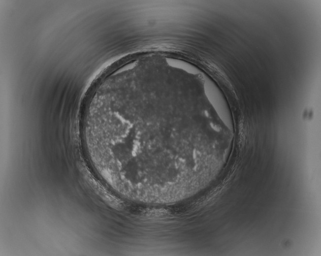 X0000114640784200911101257