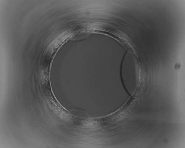 X0000114640785200911101257