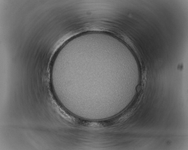X0000114640787200911101257