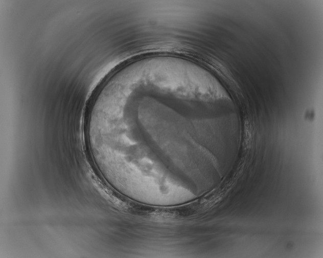 X0000114640788200911101257