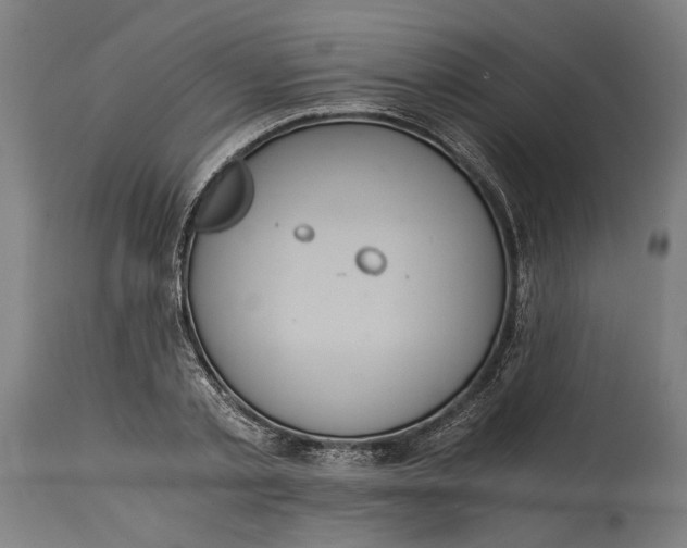 X0000114640789200911101257
