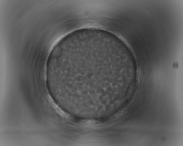 X0000114640791200911101257