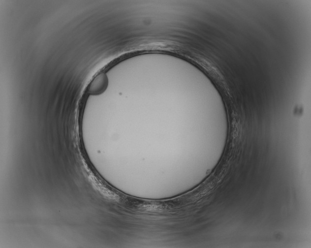 X0000114640792200911101257