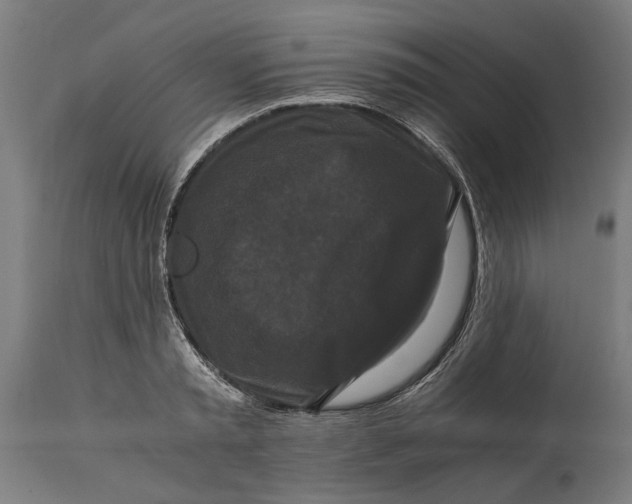 X0000114640797200911101257