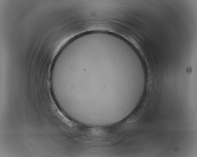 X0000114640799200911101257
