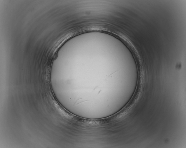 X0000114640801200911101257