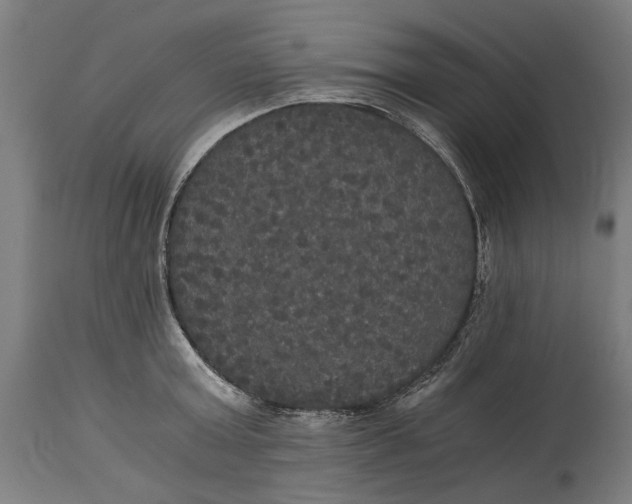X0000114640803200911101257